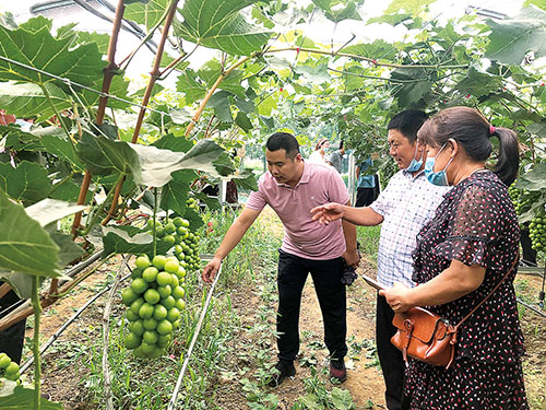 1663287294346949.jpg 机关2.jpg