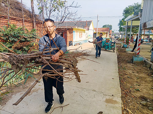 1665276197437331.jpg 26.jpg