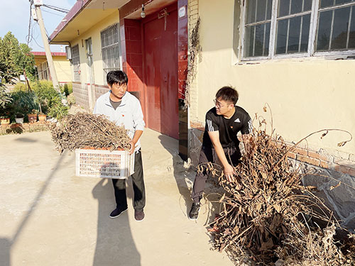 1665276207107512.jpg 25.jpg