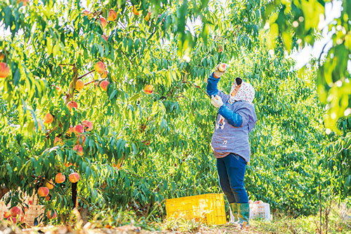 1665707807982663.jpg 1版.jpg