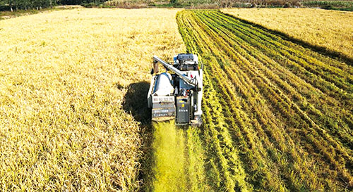 1665708475376033.jpg 2版.jpg