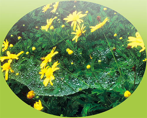 1666831370433427.jpg 4右.jpg