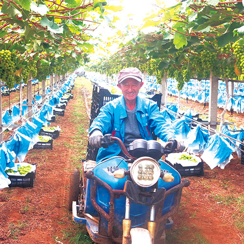 1667263181322966.jpg 111.jpg