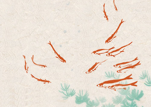 1667263281609383.jpg 04.jpg