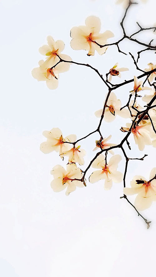 1667263947534597.jpg 40.jpg