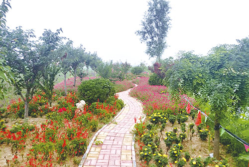 1667350295469748.jpg 0003.jpg