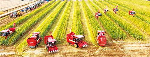 1667350307796390.jpg 03.jpg