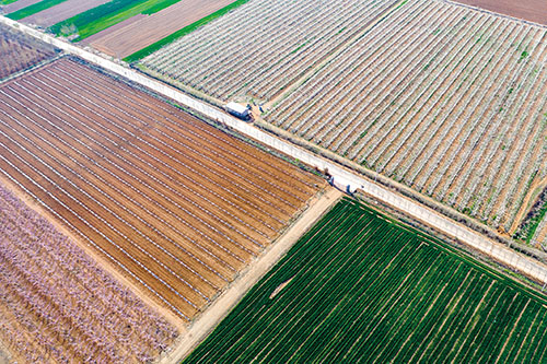 1667436836757501.jpg 1版梨园.jpg