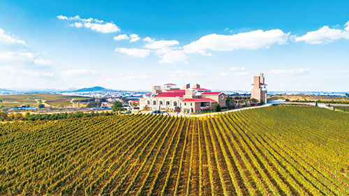 1668644531866497.jpg 1版.jpg