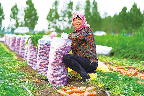 1669164578364799.jpg 333.jpg