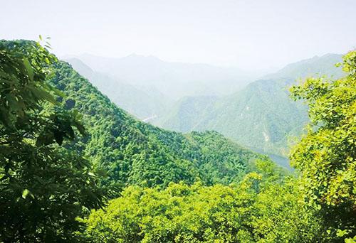 1670978506277135.jpg 四版爬山.jpg