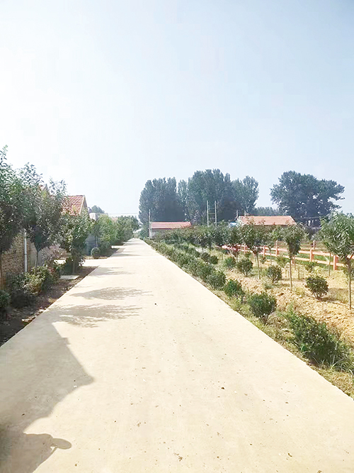 1673226941928738.jpg 夏格庄镇 街道.jpg