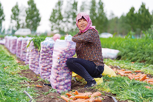 1675904795623395.jpg 4王雪梅 摄.jpg