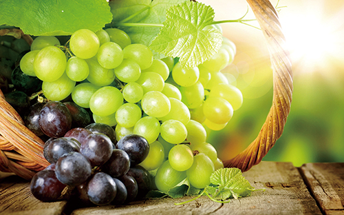 1675905031771220.jpg 4葡萄.jpg