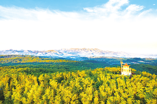 1677027971615130.jpg 3版.jpg