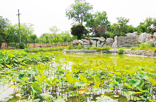 1677724858429358.jpg 3姜山镇绕岭新村吴国言苗圃基地带领村民“筑绿”共富。.jpg