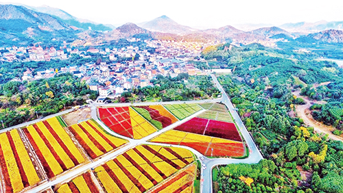 1680574817402538.jpg 四版1棠棣村.jpg