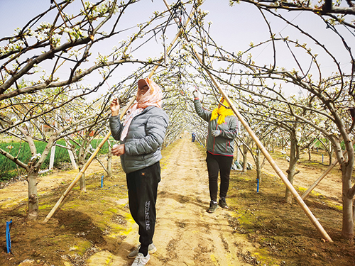 1681347776920372.jpg 2ban.jpg