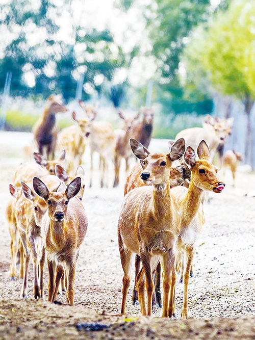 1682560714738135.jpg 4版.jpg