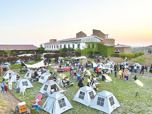 1683250049476664.jpg 3版 院上镇九顶庄园星空露营.jpg