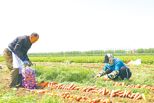 1683850939605559.jpg 2版.jpg