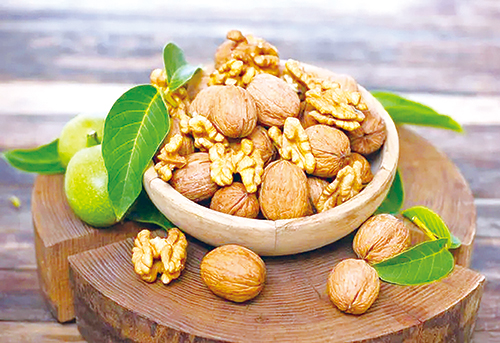 1684802184539244.jpg 4版 核桃.jpg