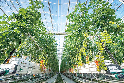 1686705444381442.jpg 凯盛浩丰4.jpg