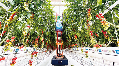 1686705689623592.jpg 凯盛浩丰.jpg