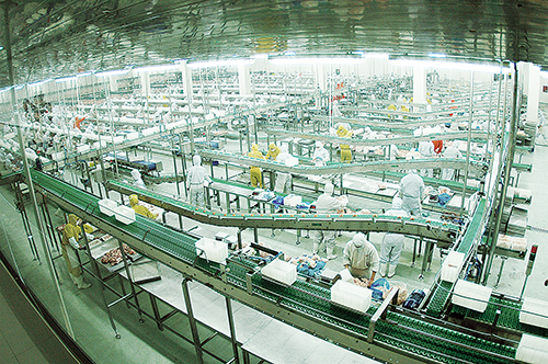 1686705875409151.jpg 九连集团.jpg