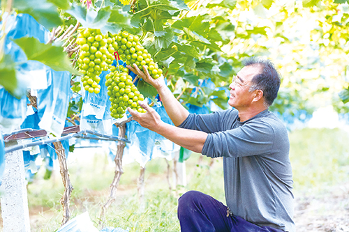 1686706130318399.jpg 4版02.jpg