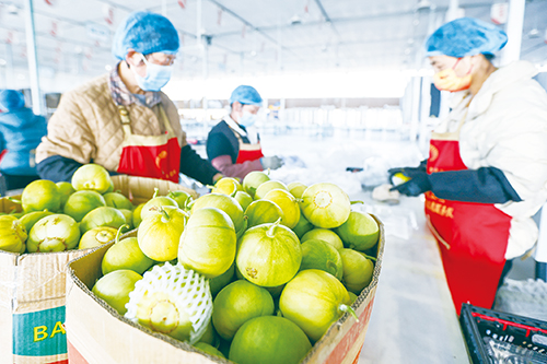 1686706179529337.jpg 4版03.jpg