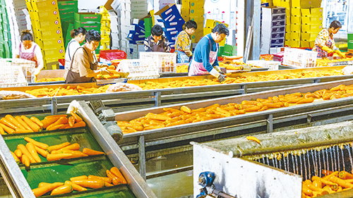 1686706203390165.jpg 4版01.jpg