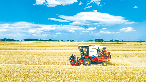 1686876903236295.jpg 2版.jpg