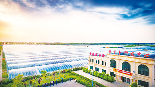 1691629507425669.jpg 333版.jpg