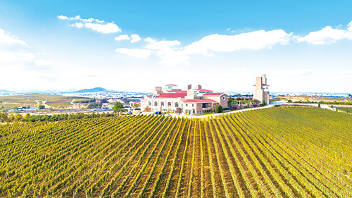 1691629525471472.jpg 33版.jpg