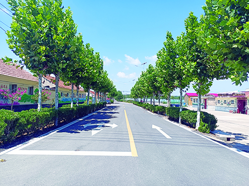 1692320193848156.jpg 3版1.jpg