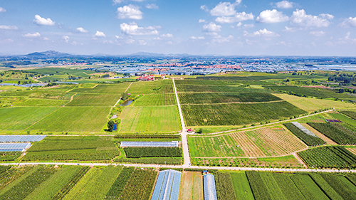 1694047336190254.jpg 1版.jpg