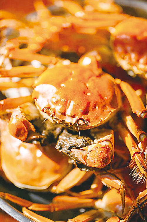 1695862558544722.jpg 3.jpg