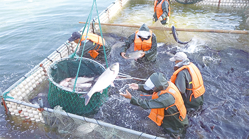 1695862581903388.jpg 34.jpg