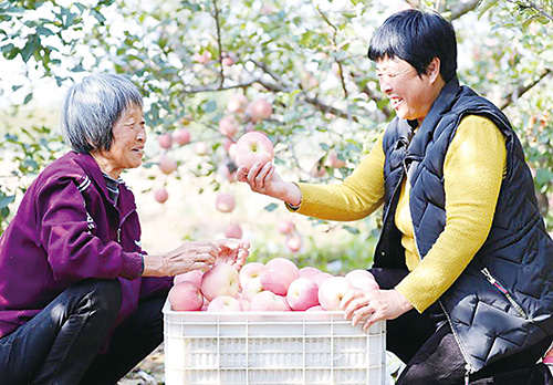 1698712367707141.jpg 1版.jpg