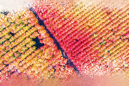 1698712955634267.jpg 3-55.jpg