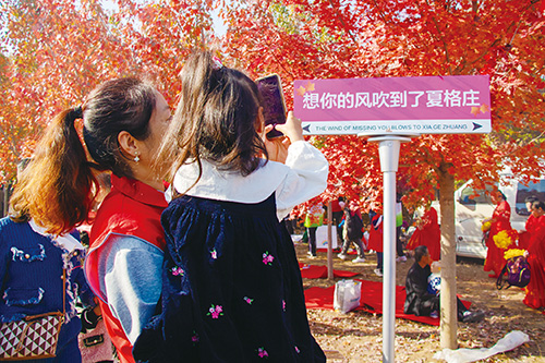 1698712975517313.jpg 3-1.jpg