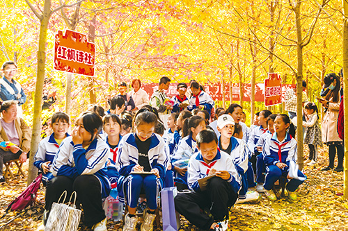 1698713005781438.jpg 3-7.jpg