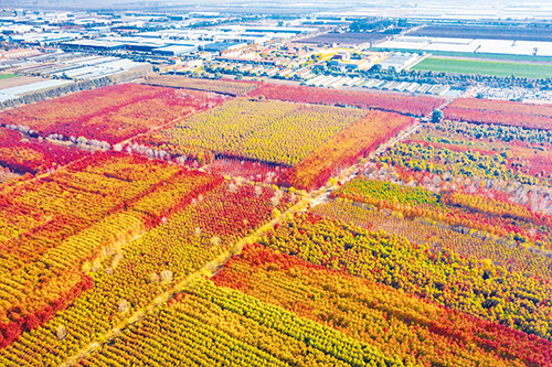 1698713062114608.jpg 3-6.jpg