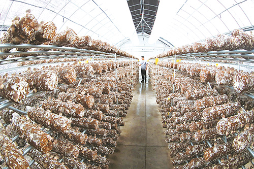 1698886452302804.jpg 4.jpg