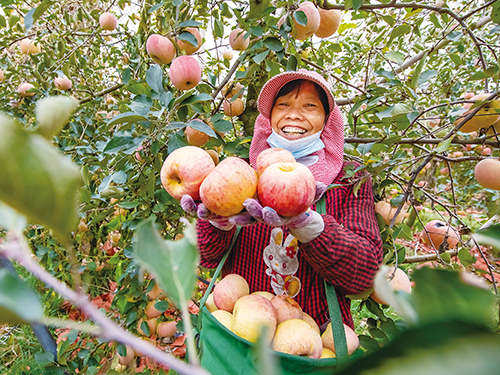 1700788978991378.jpg 333.jpg