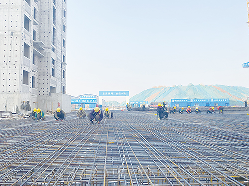 1701994952521066.jpg 1.jpg