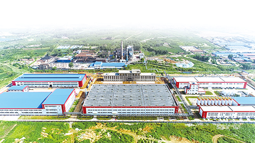 1706231656364157.jpg 41.jpg