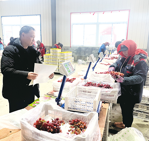 1706232324720352.jpg 3.jpg