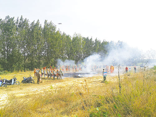 1706941317745051.jpg 应急局—莱西市举办2023年度森林火灾应急演练.jpg